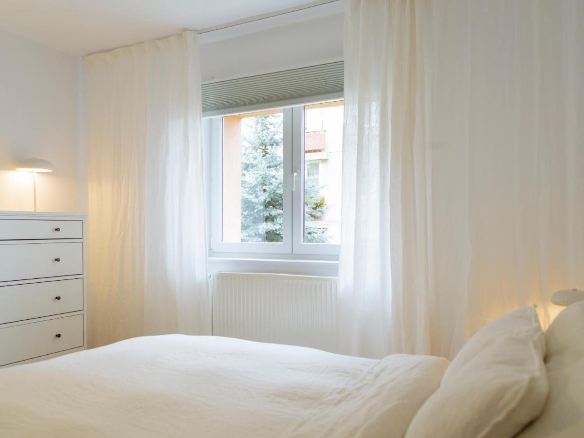 Cozy Central Apartment Near The Forest Braşov Dış mekan fotoğraf