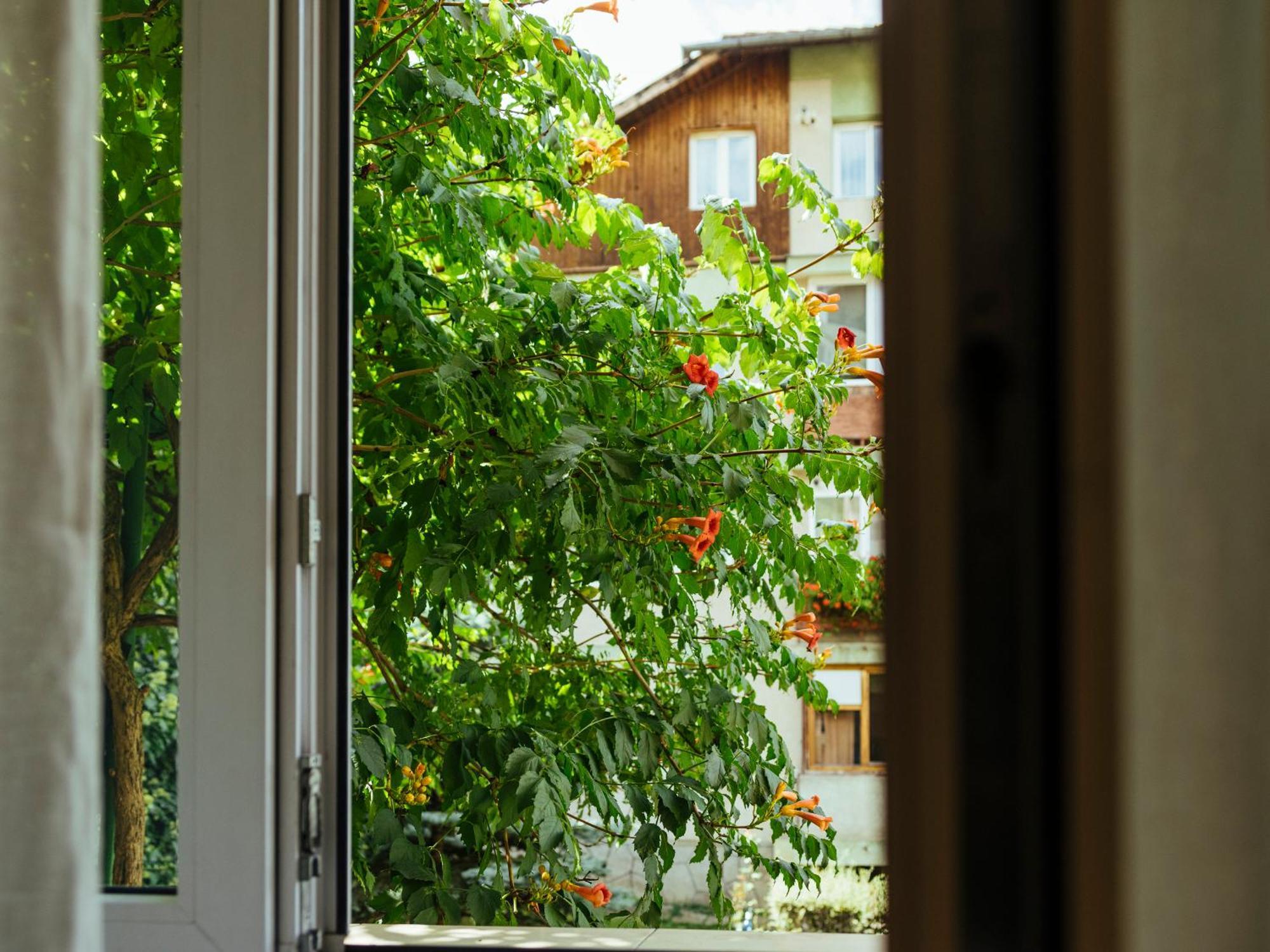 Cozy Central Apartment Near The Forest Braşov Dış mekan fotoğraf