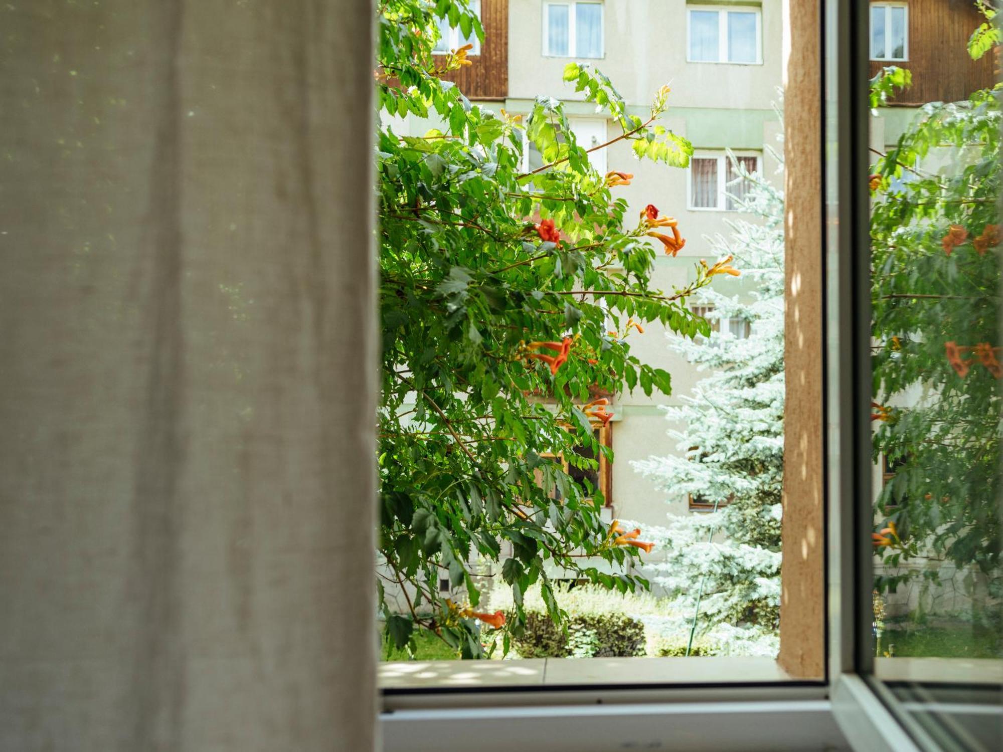 Cozy Central Apartment Near The Forest Braşov Dış mekan fotoğraf