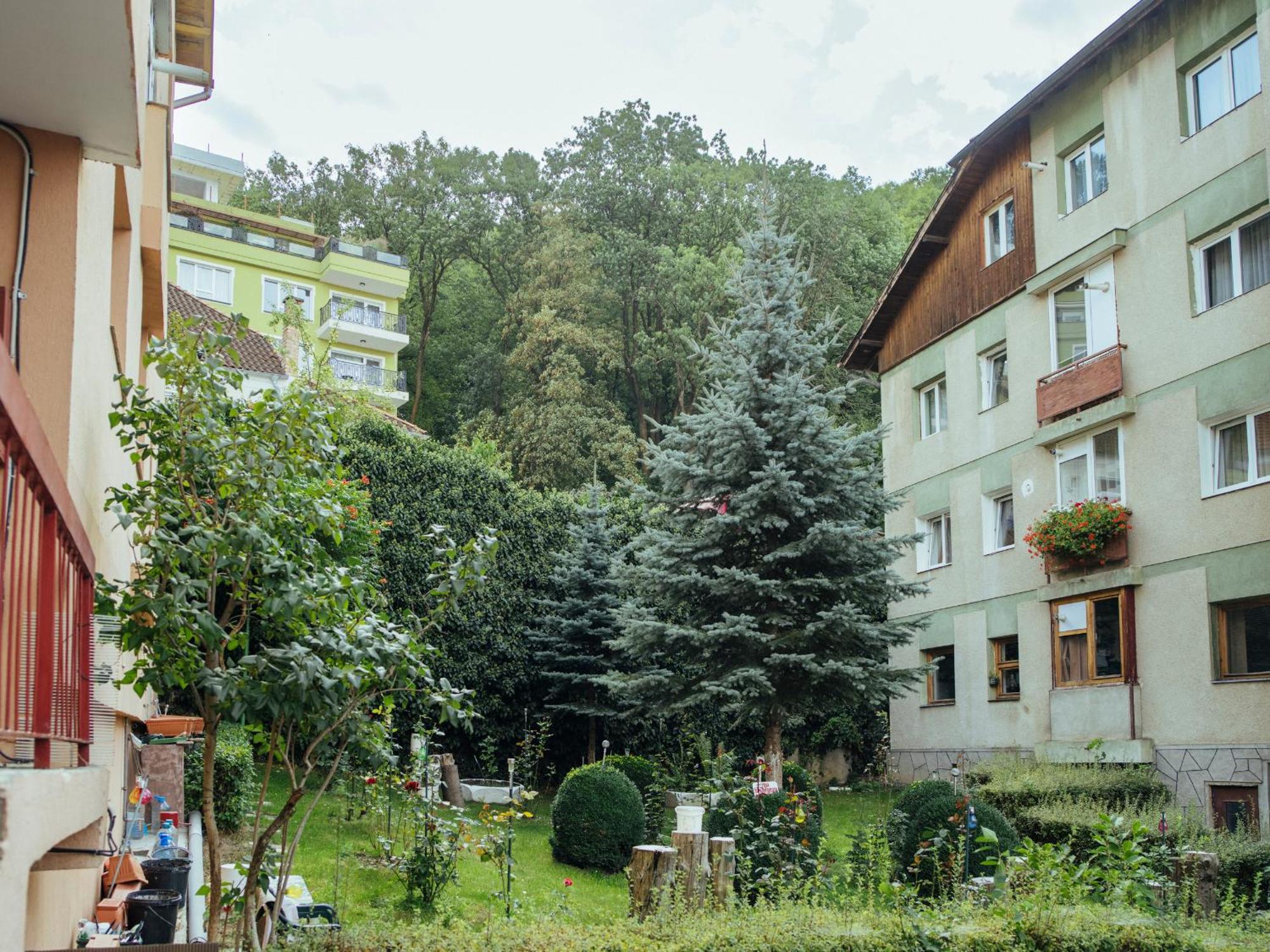 Cozy Central Apartment Near The Forest Braşov Dış mekan fotoğraf